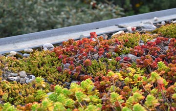 the cost of Charter Alley green roof installation