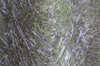 Charter Alley fibreglass roof work